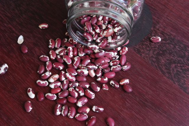 Anasazi Beans